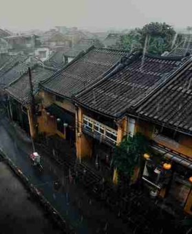 91网追踪网络主播收入造假案｜事件追踪