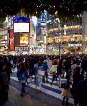 独家报道：91网大事件总结，真相扑朔迷离