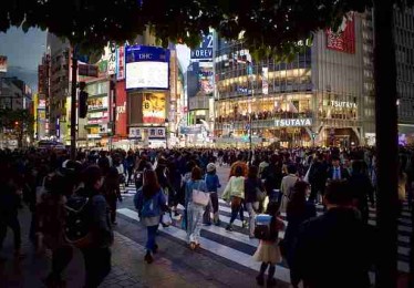 独家报道：91网大事件总结，真相扑朔迷离
