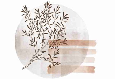 趋势解析｜成人版抖音短视频审核新规盘点